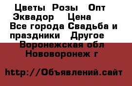 Цветы. Розы.  Опт.  Эквадор. › Цена ­ 50 - Все города Свадьба и праздники » Другое   . Воронежская обл.,Нововоронеж г.